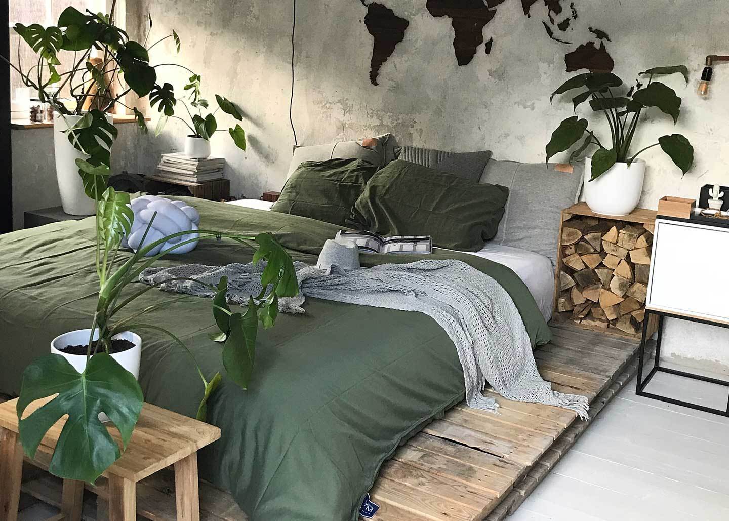 Planten die je slaap verbeteren