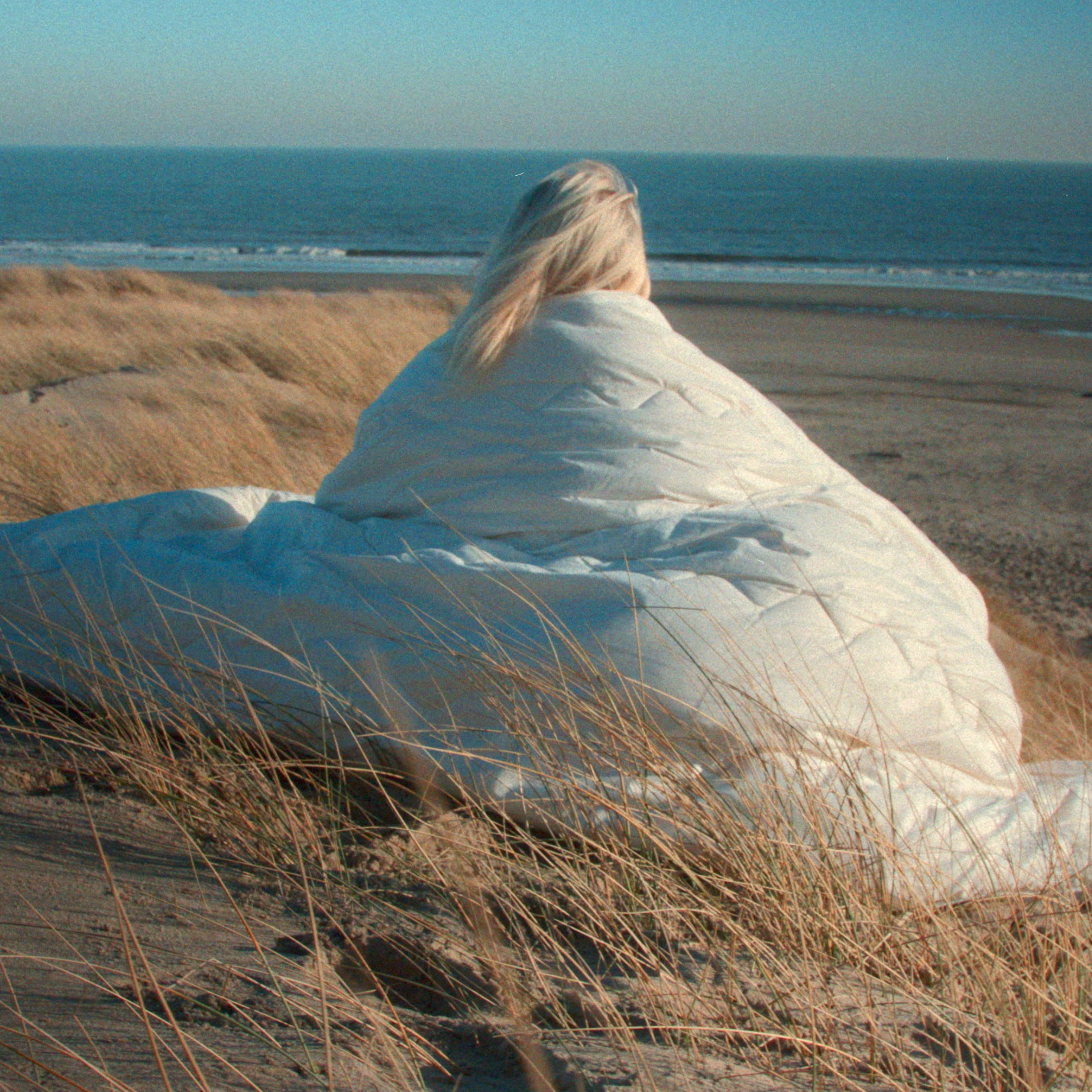 4-Seizoenen Dekbed 100% Texels Wol